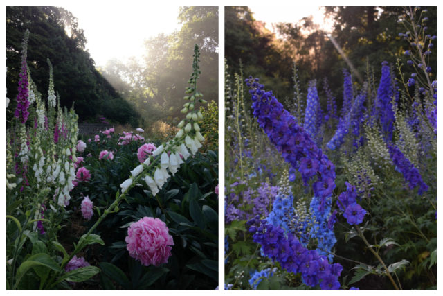 Chatsworth Gardens on Floret blog