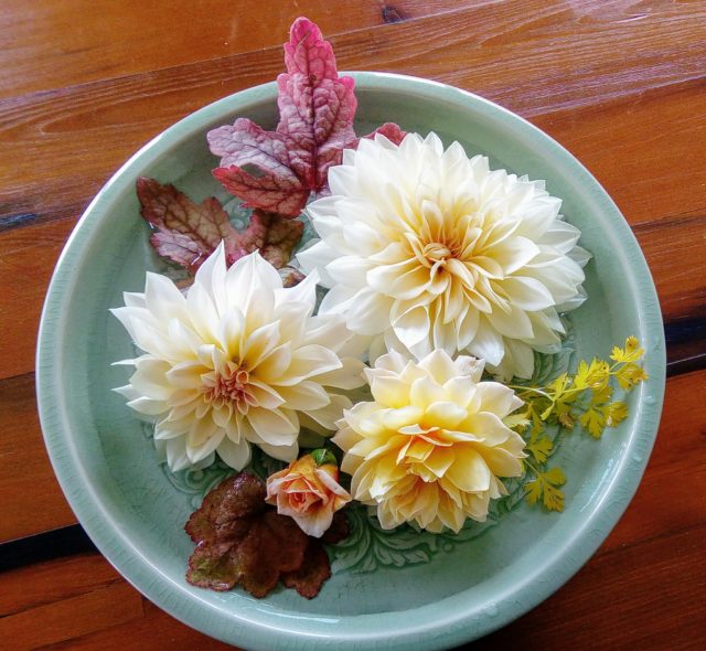 Floret Features