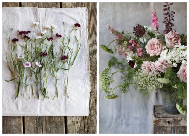 Clare Nolan stems and vase