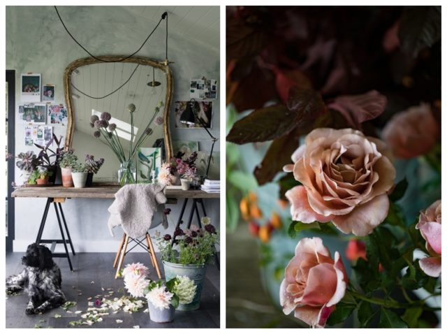 Clare Nolan styling
