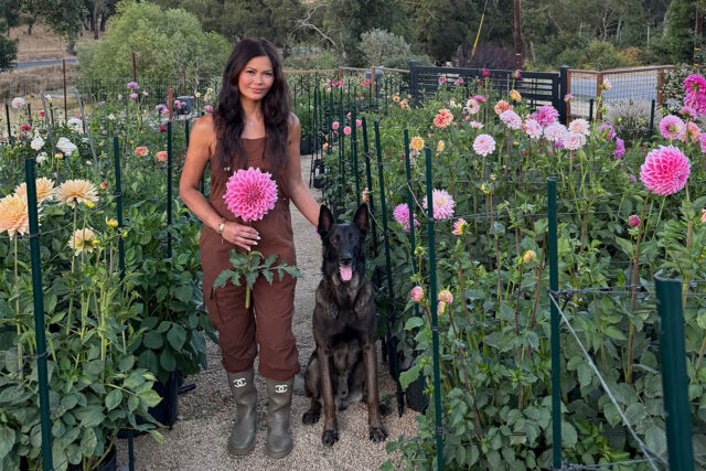 Alex Flower Farm owner Aileen standing in the dahlia patch with her dog.
